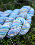 Koigu Collector Originals / skein