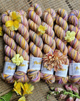 Koigu Collector Originals / skein