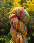 Koigu Collector Originals / skein