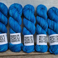 Chelsea Aran Merino - 2 skeins