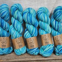 Cheers (merino + lincoln) - 2 skeins