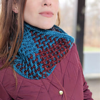 Chelsea Aran Merino - 2 skeins