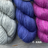 Autumn Harvest Sweater Kit