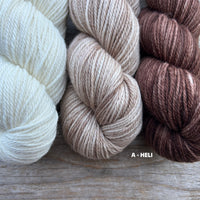 Koigu Sheep Sweater Kit