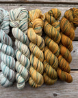 Gradient Family Color Sets KPPPM