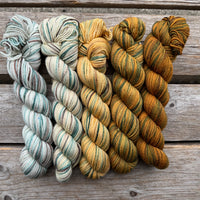 Gradient Family Color Sets KPPPM