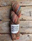 Single Variegated Skeins - Jasmine DK Merino - SALE