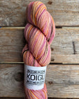 Single Variegated Skeins - Jasmine DK Merino - SALE