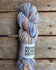 Single Variegated Skeins - Jasmine DK Merino - SALE