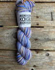 Single Variegated Skeins - Jasmine DK Merino - SALE