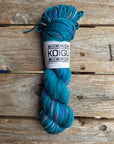 Single Variegated Skeins - Jasmine DK Merino - SALE