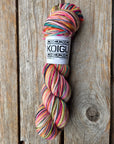 Single Variegated Skeins - Jasmine DK Merino - SALE
