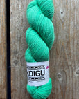 Single Tonal Skeins - Jasmine DK Merino - SALE