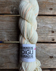 Single Variegated Skeins - Jasmine DK Merino - SALE