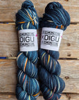 Single Variegated Skeins - Jasmine DK Merino - SALE