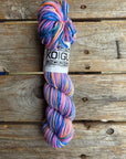 Single Variegated Skeins - Jasmine DK Merino - SALE