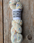 Single Variegated Skeins - Jasmine DK Merino - SALE