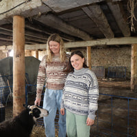 Koigu Sheep Sweater Kit