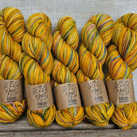 Cheers (merino + lincoln) - 2 skeins