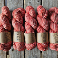 Cheers (merino + lincoln) - 2 skeins