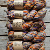 Cheers (merino + lincoln) - 2 skeins