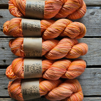 Cheers (merino + lincoln) - 2 skeins