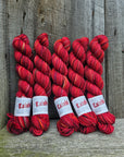Koigu Collector Originals / skein