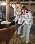 Koigu Sheep Sweater Kit