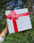 Ultimate Koigu Gift Pack 2026