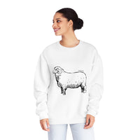 Merino Sheep Sweatshirt
