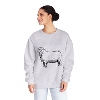 Merino Sheep Sweatshirt
