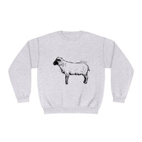 Shetland Sheep Sweatshirt