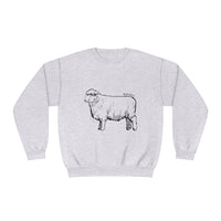 Romney Sheep Sweatshirt