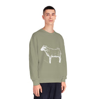 Shetland Sheep Sweatshirt