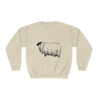 Icelandic Sheep Sweatshirt