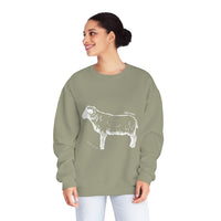Shetland Sheep Sweatshirt