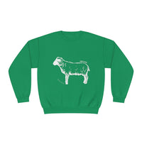 Shetland Sheep Sweatshirt