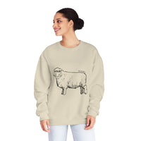Romney Sheep Sweatshirt