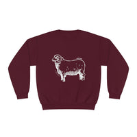 Merino Sheep Sweatshirt