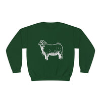 Merino Sheep Sweatshirt