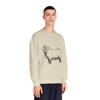Merino Sheep Sweatshirt