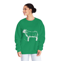 Shetland Sheep Sweatshirt