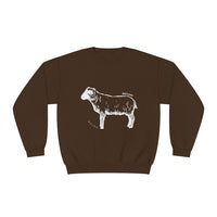 Shetland Sheep Sweatshirt