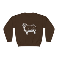 Merino Sheep Sweatshirt