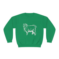 Corriedale Sheep Sweatshirt