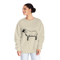 Shetland Sheep Sweatshirt