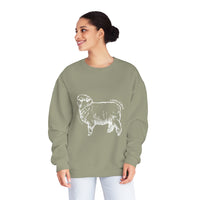 Corriedale Sheep Sweatshirt