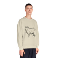 Corriedale Sheep Sweatshirt