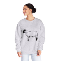 Shetland Sheep Sweatshirt