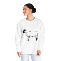 Shetland Sheep Sweatshirt